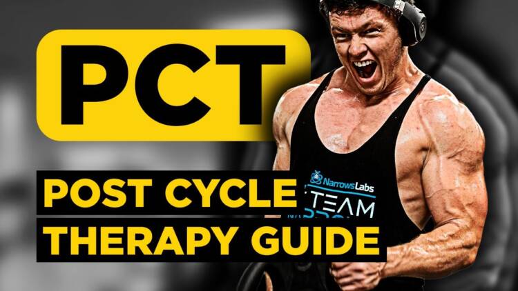 Post cycle therapy cycle